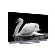 Smart TV Android Haier 55  OLED UHD 4K H55C900UX - 140cm Supply